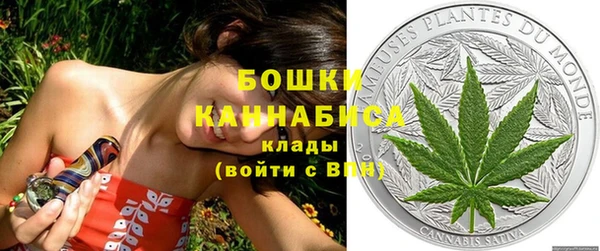 гидра Белоозёрский