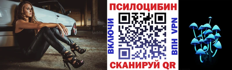 купить наркотик  мега ТОР  Псилоцибиновые грибы Cubensis  Малоярославец 
